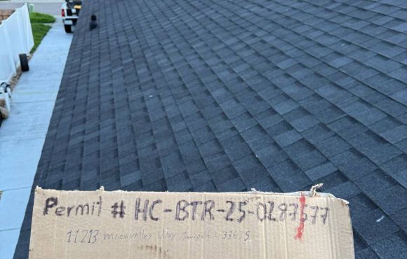 Tampa Shingle Roof – Architectural Replacement, FL